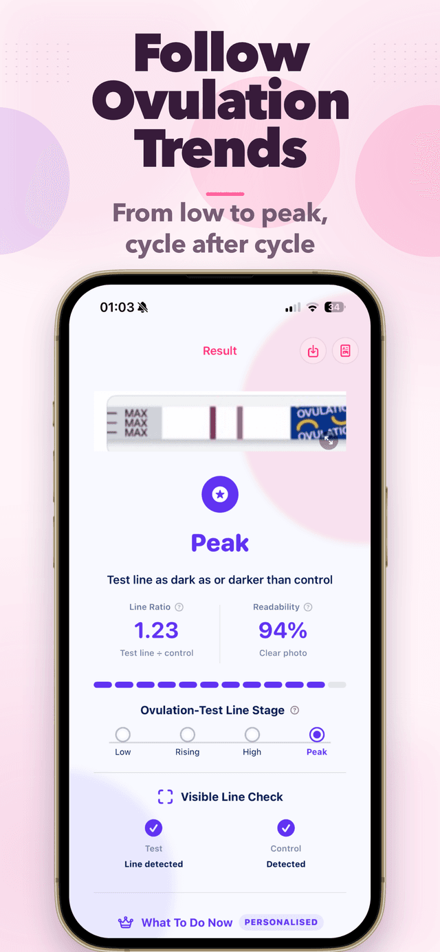 LineCheck app preview 2